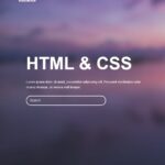 HTML Universal code